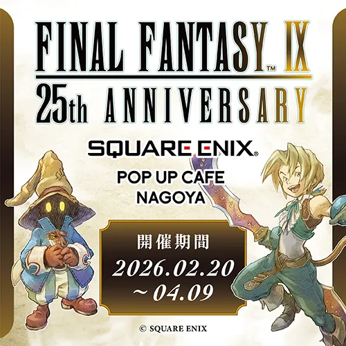 FF IX 25th anniversary